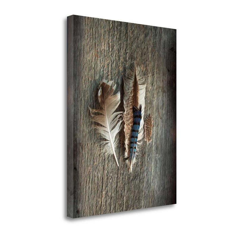 23x29 Feather Collection III By Sue Schlabach Print on Canvas Fabric Multi-Color