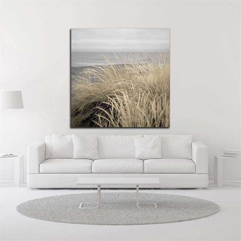 18 x 18 Tuscan Dunes 2A by Alan Blaustein- Wall Art Print on Canvas Fabric Brown