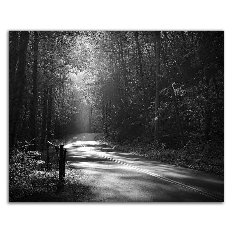 22x18 Tremont Road Smoky Mountains by Nicholas Bell Print on Canvas Fabric White