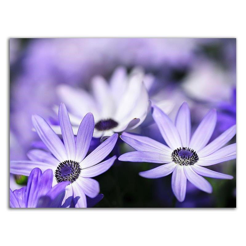 18 x 14 Purple Flowers by PhotoINC Studio- Wall Art Print on Canvas Fabric White