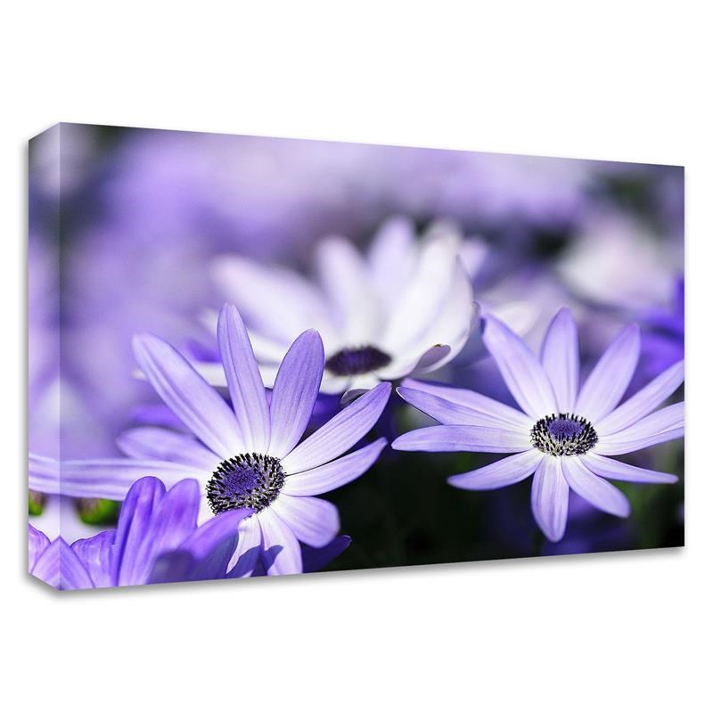 32 x 24 Purple Flowers by PhotoINC Studio- Wall Art Print on Canvas Fabric White