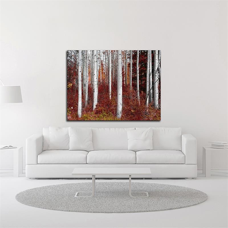 24 x 18 Fall Birches by Vladimir Kostka - Wall Art Print on Canvas Fabric White
