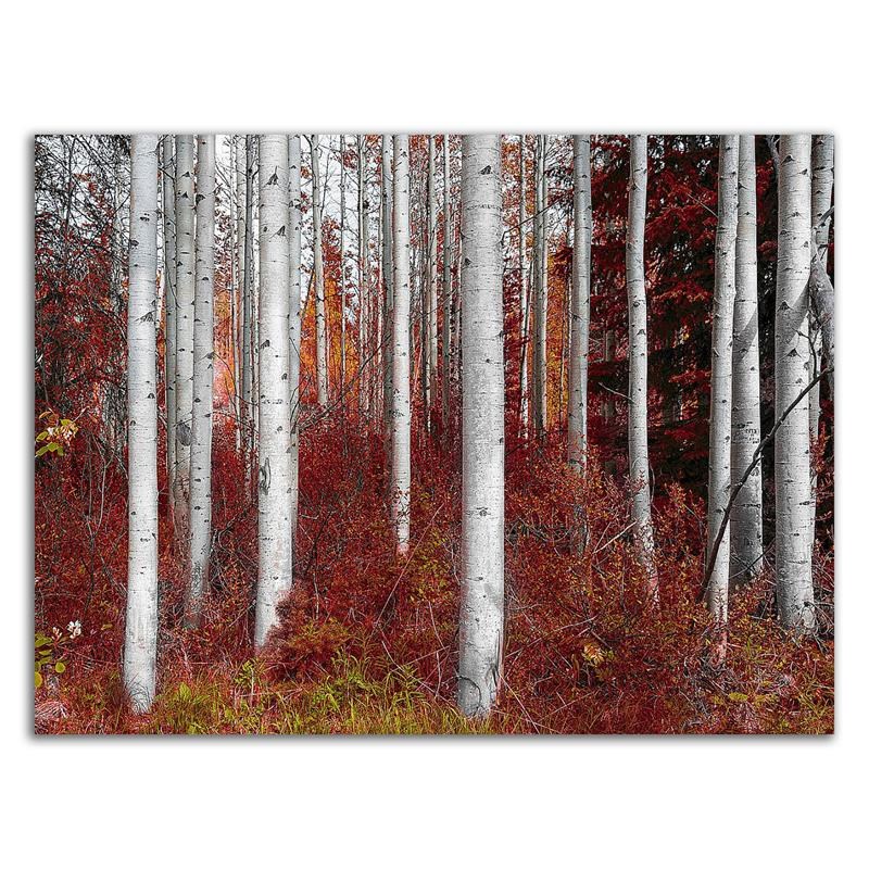24 x 18 Fall Birches by Vladimir Kostka - Wall Art Print on Canvas Fabric White