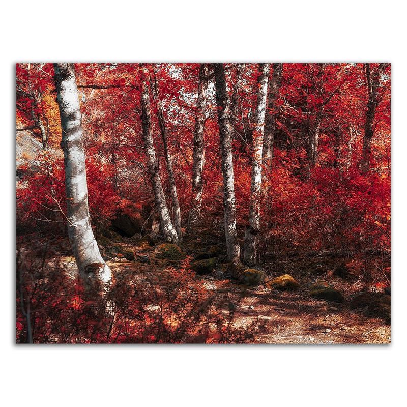 24 x 18 Red Trees Path by Vladimir Kostka- Wall Art Print on Canvas Fabric White