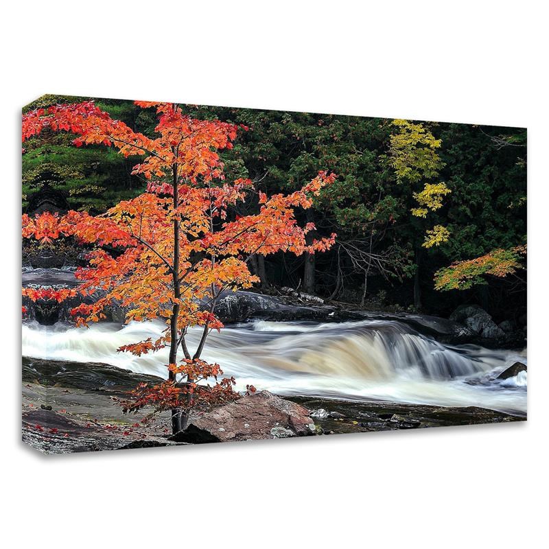 27x18 Autumn Lower Rosseau Falls by David W. Pollard Print on CanvasFabric White