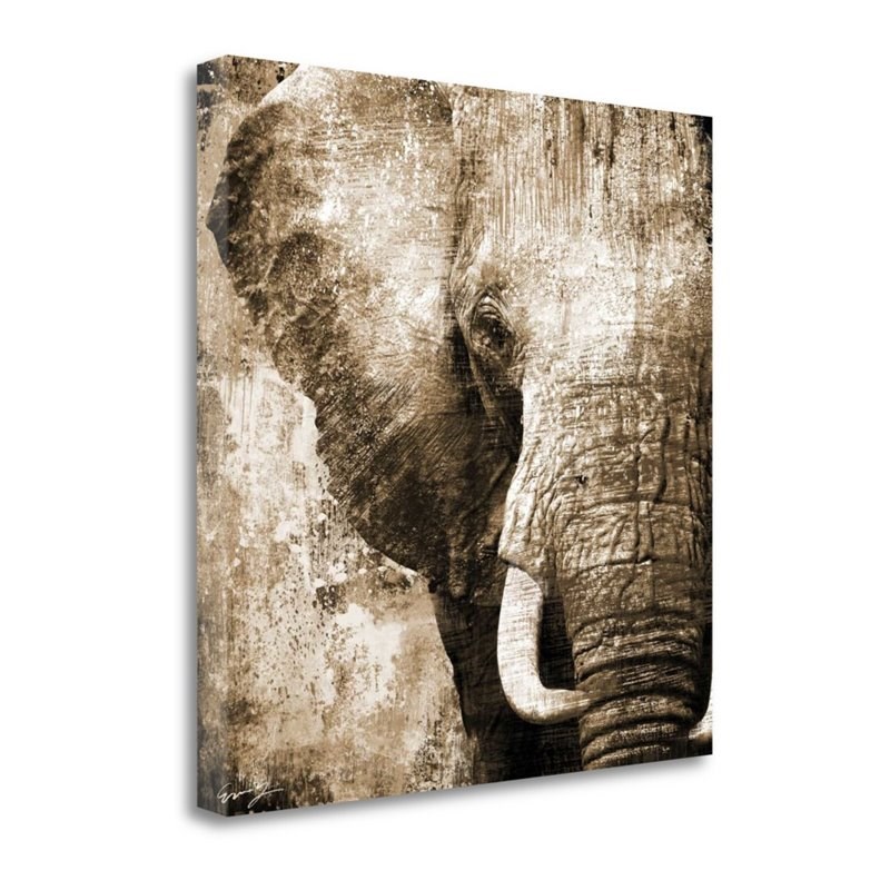18x18 African Animals I - Sepia By Eric Yang- Print on Canvas Fabric Multi-Color