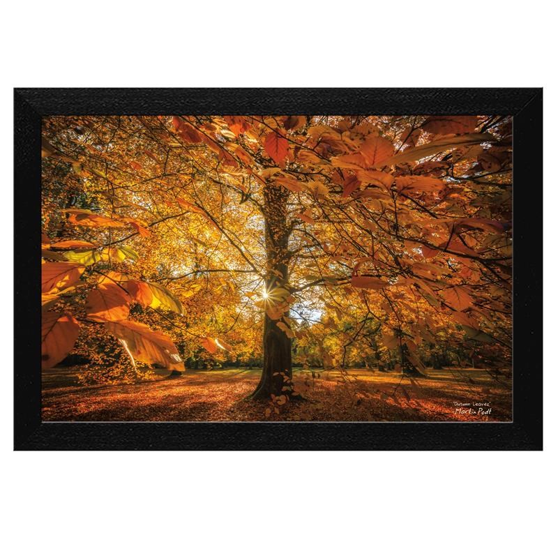 Autumn Leaves by Martin Podt Printed Framed Wall Art Wood Multi-Color
