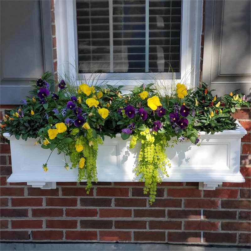 mayne fairfield 4ft weatherproof traditional plastic window box in ...