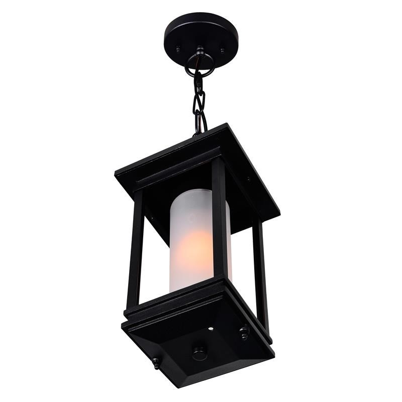 CWI Lighting Granville 1-light Farmhouse Metal Outdoor Hanging Light in Black