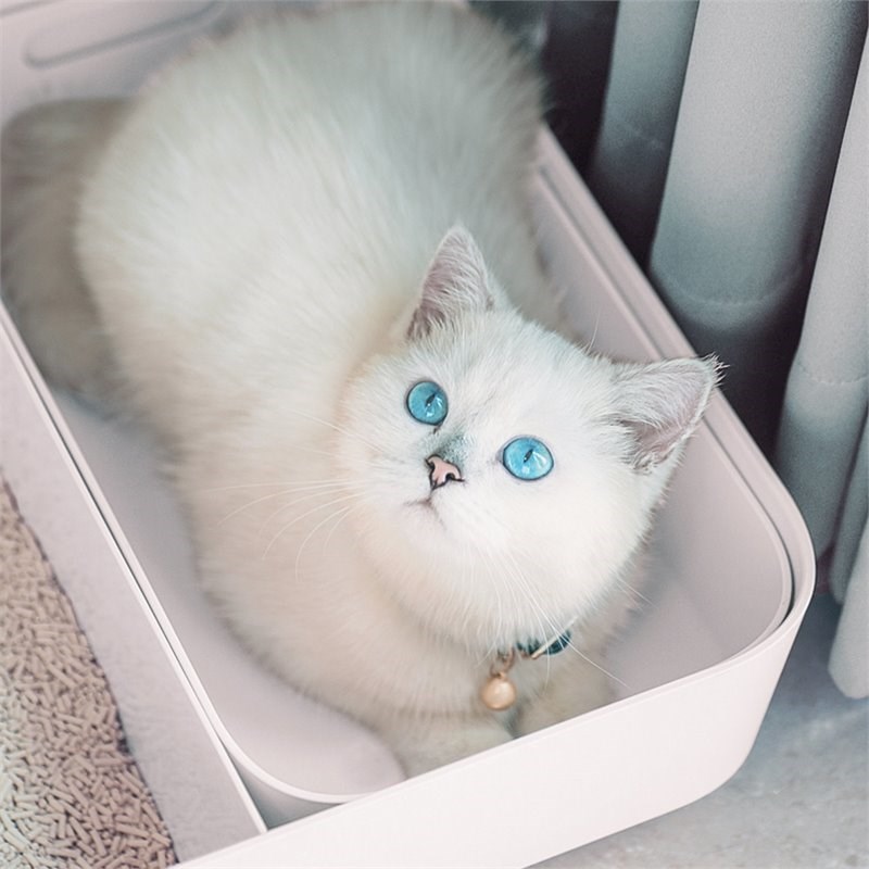 Way Basics Meowy Studio Loo All in One Plastic Cat Litter Box in Aspen White
