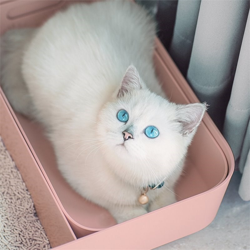 Way Basics Meowy Studio Loo All in One Plastic Cat Litter Box in Blush Pink