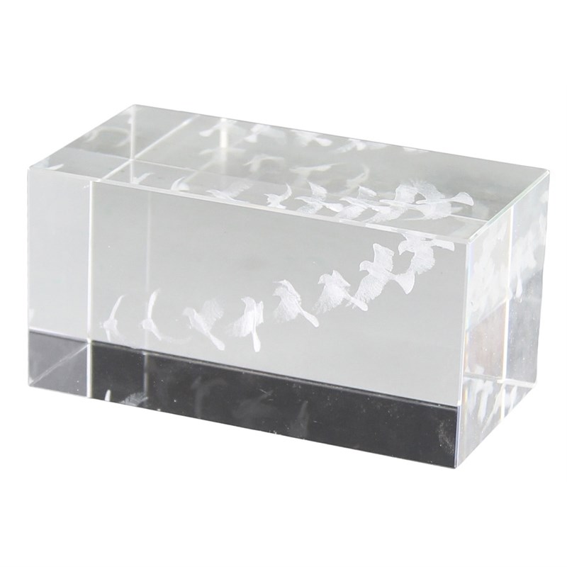 Rectangular Glass Hologram with Flying Birds in Clear
