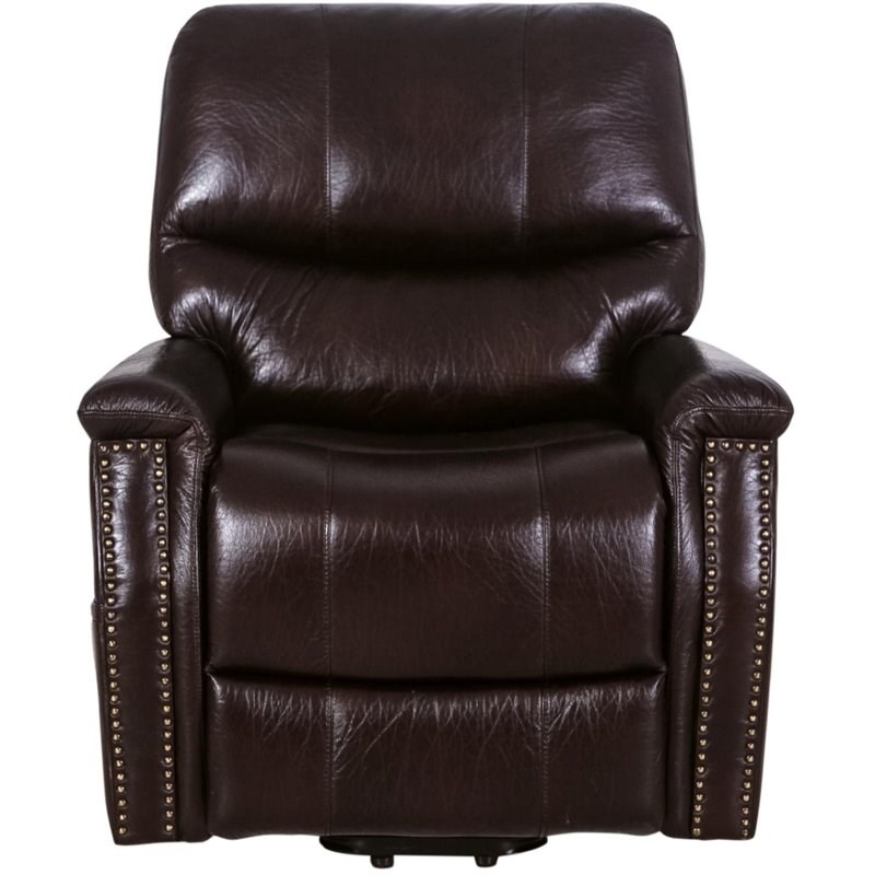 Nathaniel Home Izabella Polished Microfiber Power Lift Recliner in Brown