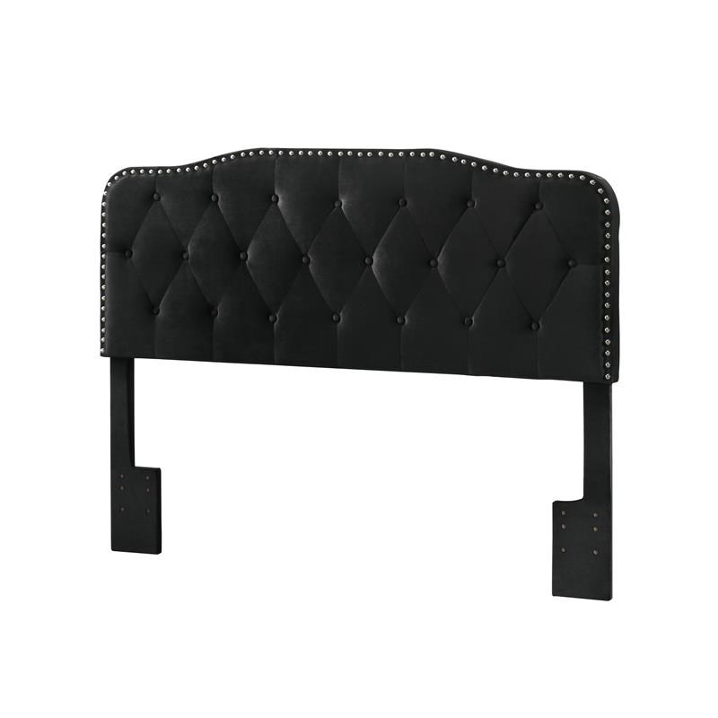 Black Velvet Upholstered Panel Bed with Silver Nailhead - Queen
