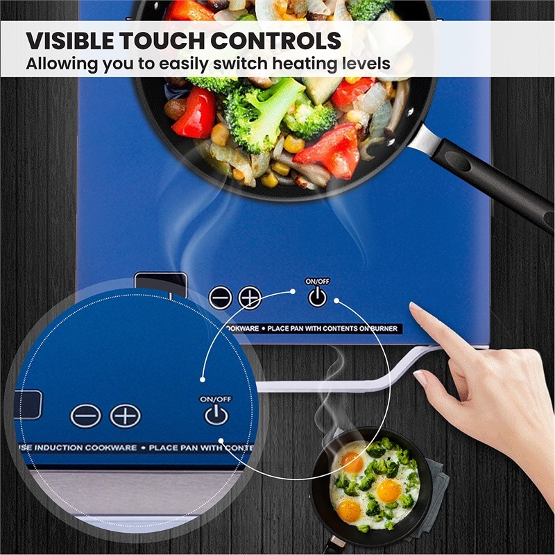 Equator 11inch Portable SingleBurner Induction Cooktop with Handle in Black Homesquare
