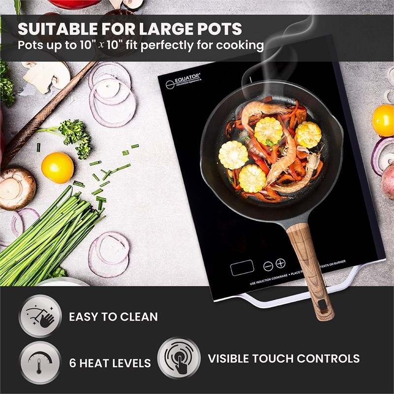 Equator 11inch Portable Single-Burner Induction Cooktop - with Handle ...