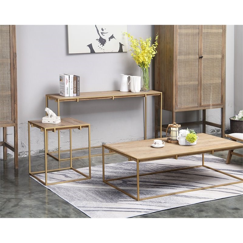 Connexion Decor Portam Reclaimed Elm and Metal Coffee Table in Natural/Brass