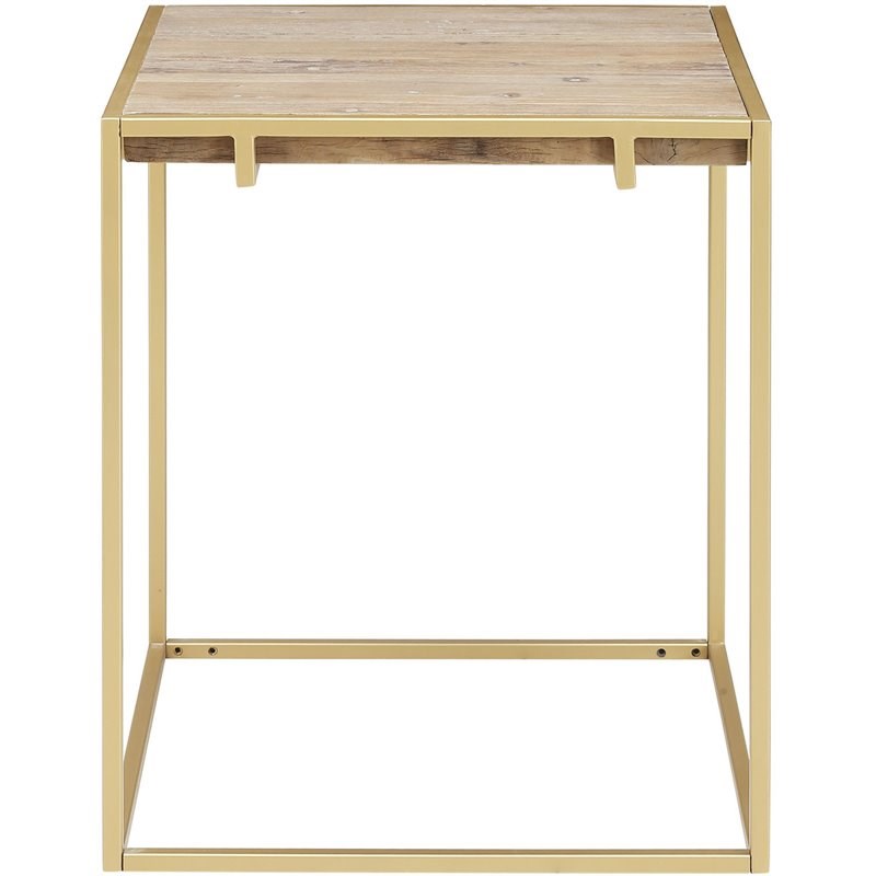 Connexion Decor Portam Reclaimed Elm and Metal End Table in Natural/Brass