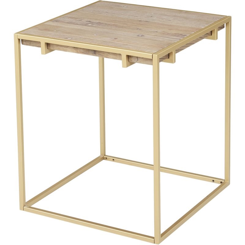 Connexion Decor Portam Reclaimed Elm and Metal End Table in Natural/Brass