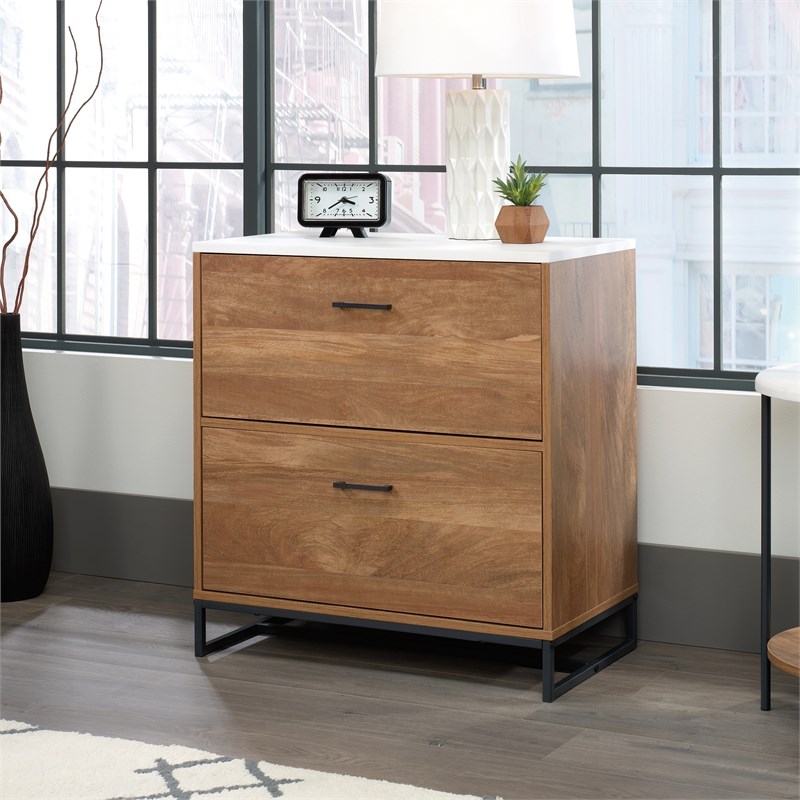 Urbanpro Mid-Century Wood Lateral File Cabinet with storage and 2 Drawers