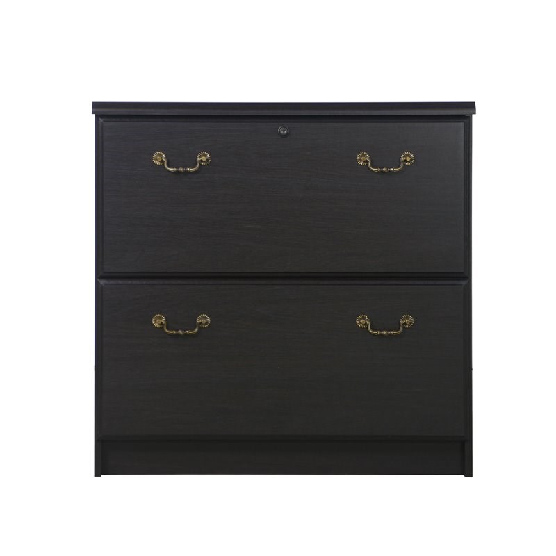 Saint Birch Transitional Wood Lateral File Cabinet in Espresso