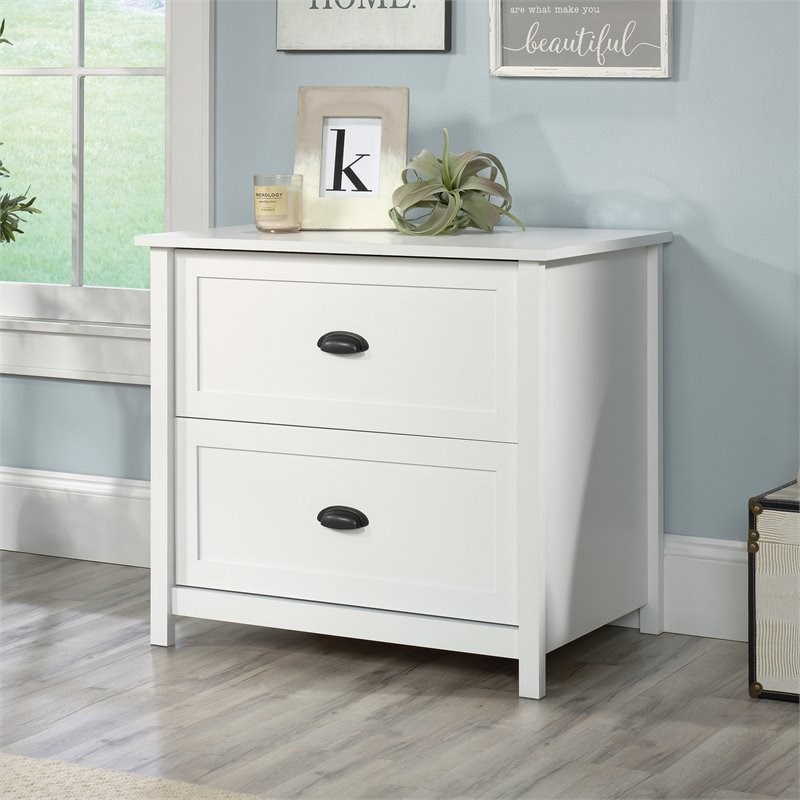 Sauder County Line Engineered Wood 2-Drawer Lateral File Cabinet in ...
