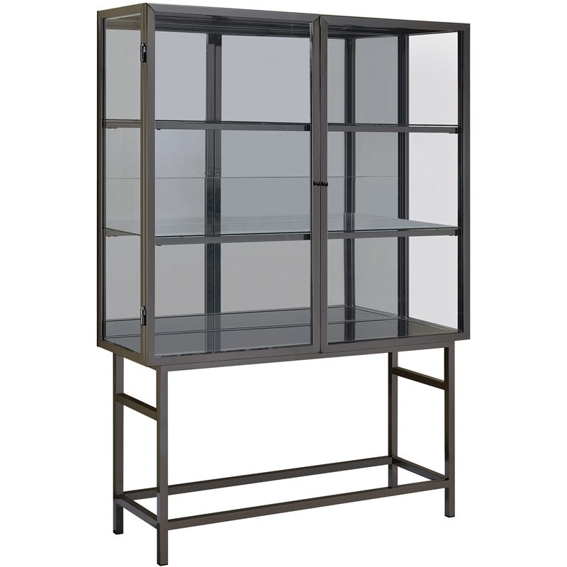 Coaster 2 Door Curio Cabinet in Brushed Black and Nickel - 951077