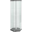 Coaster Glass Hexagonal Curio Cabinet in Black and Chrome